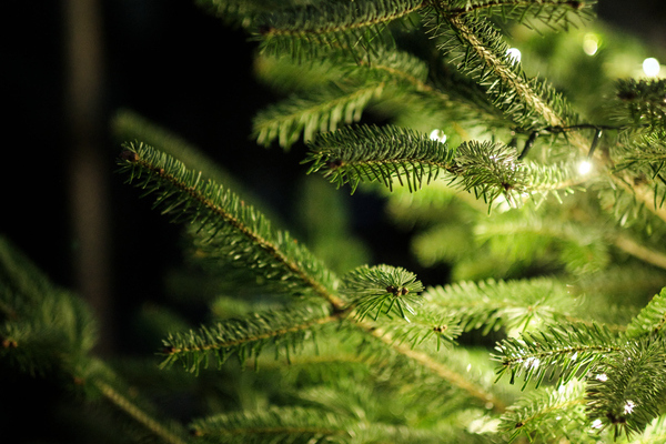 Weihnachtsfeier 